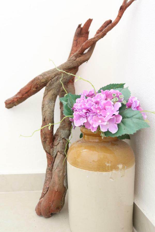 Villa Argo 3 - Beachfront, Big Gardens, Location! 佩科霍里 外观 照片