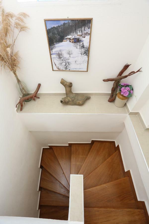 Villa Argo 3 - Beachfront, Big Gardens, Location! 佩科霍里 外观 照片