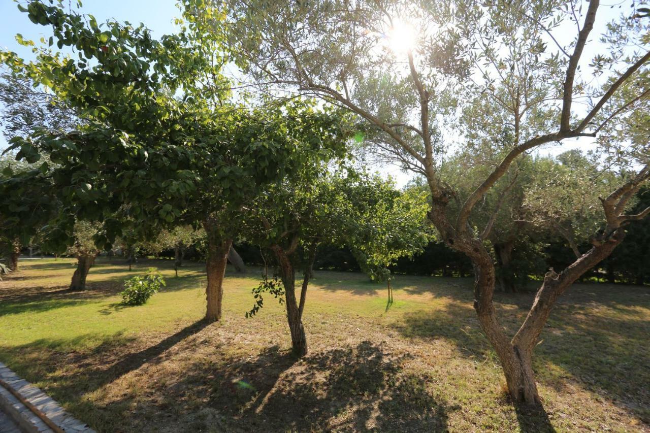 Villa Argo 3 - Beachfront, Big Gardens, Location! 佩科霍里 外观 照片